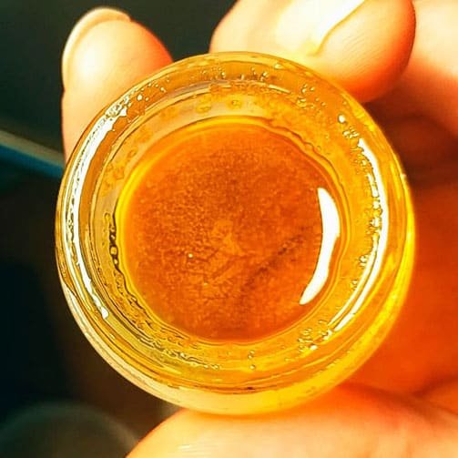 Terp sauce for sale near me